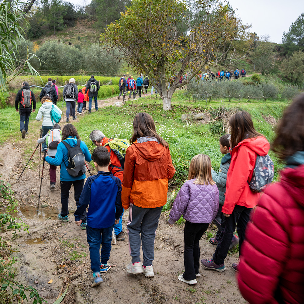 04 Camí de les Matonaires