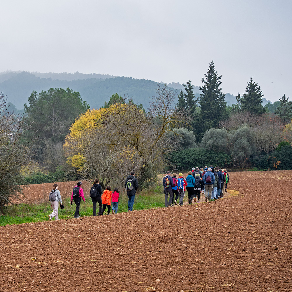 06 Camí de les Matonaires