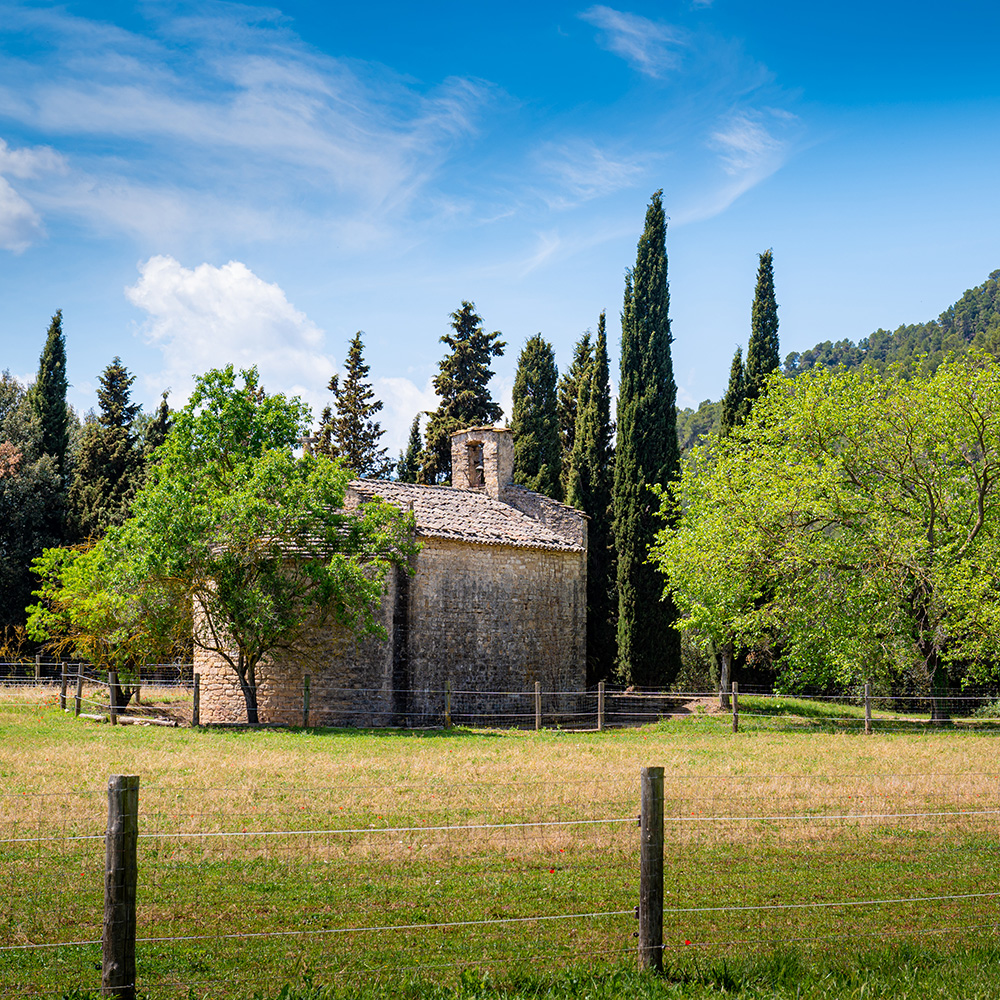 Camí de Sant Jaume 05