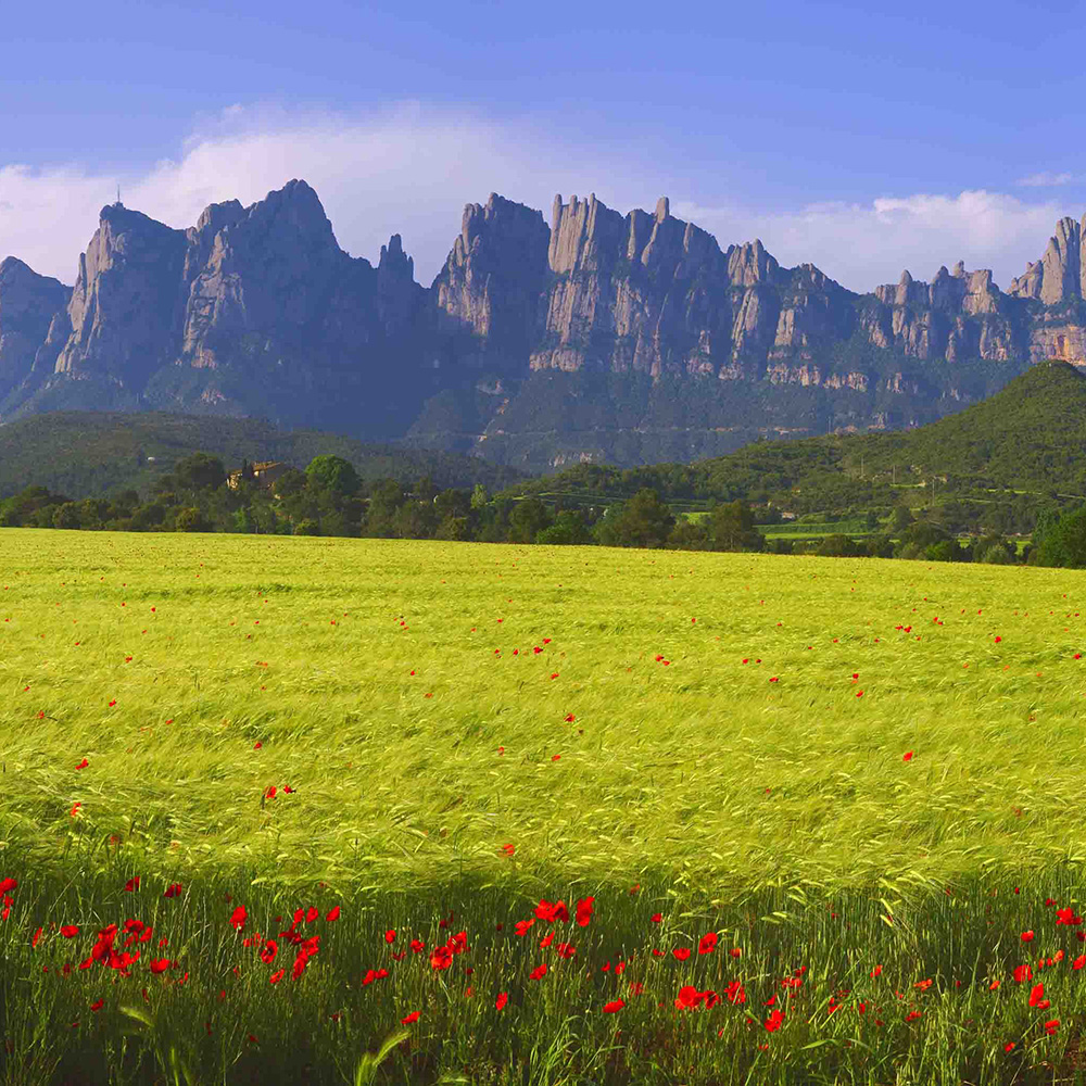 Romànic Montserratí 04