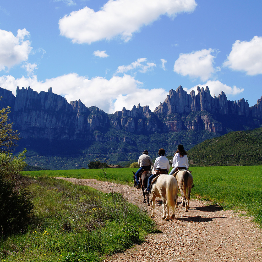 Romànic Montserratí 08